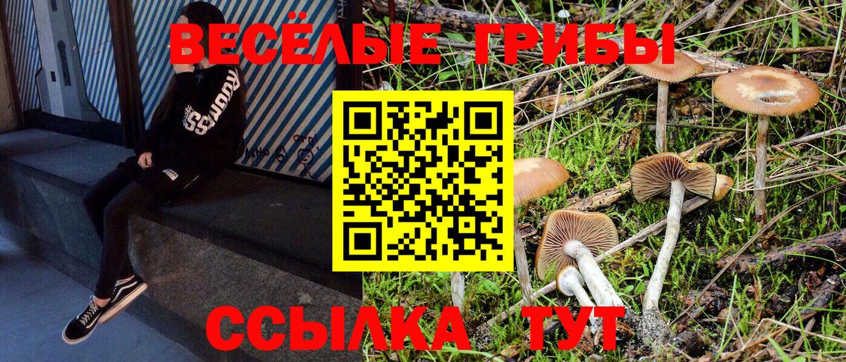 Псилоцибиновые грибы прущие грибы Иркутск