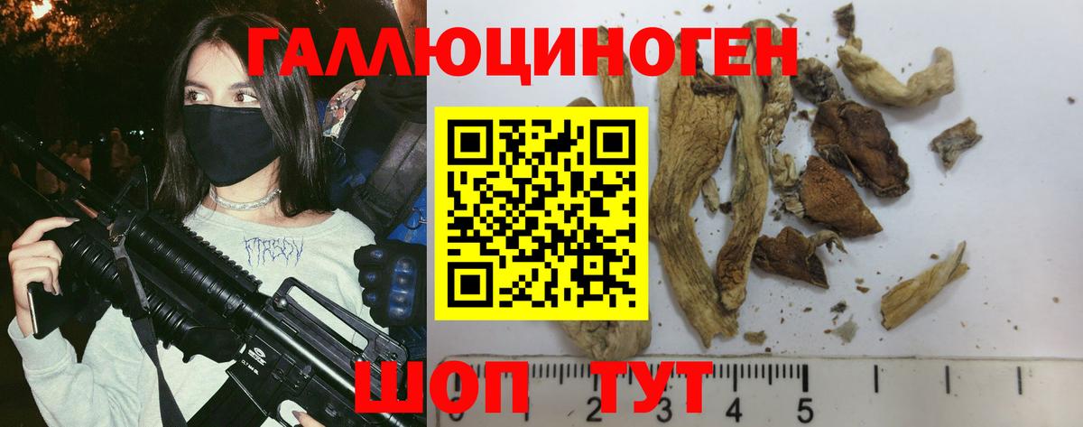 Иркутск  Галлюциногенные грибы MAGIC MUSHROOMS  Галлюциногенные грибы Psilocybe  Вход с VPN 